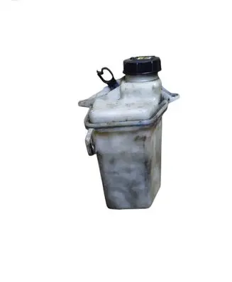 Fiat Ducato Power steering fluid tank/reservoir 1209289
