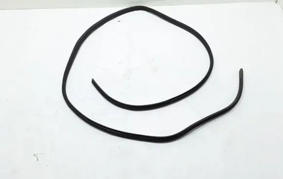Renault Master III Front door rubber seal 808328755R