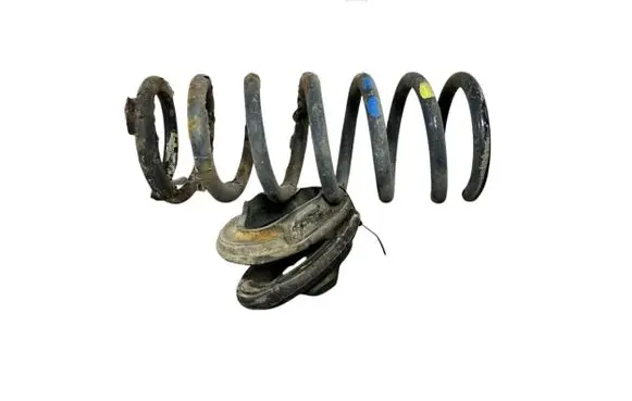 Opel Antara Rear coil spring