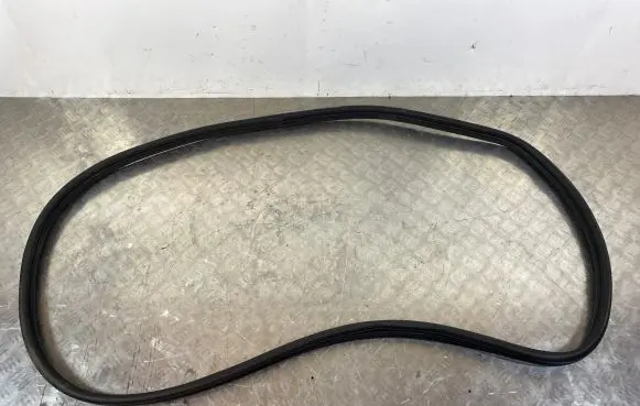 KIA EV6 Rear door rubber seal (on body) 