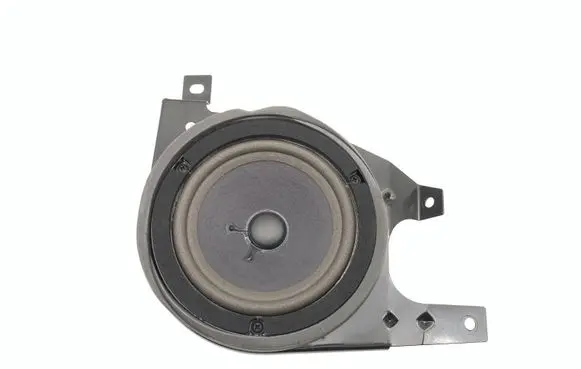 Rear door speaker