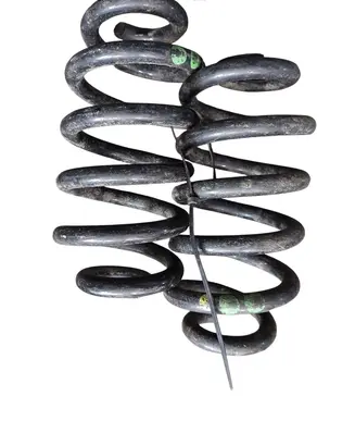 Rear coil spring