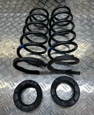 Rear coil spring