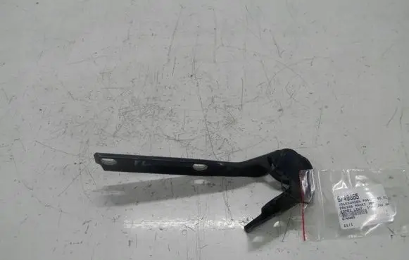 Volkswagen PASSAT B5.5 Engine bonnet/hood hinges 