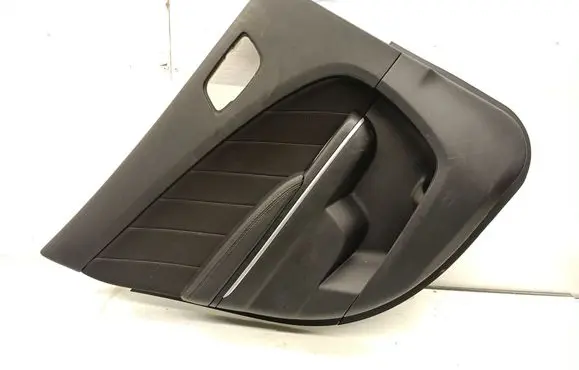 Dodge Charger Rear door card panel trim 5PF071XAI