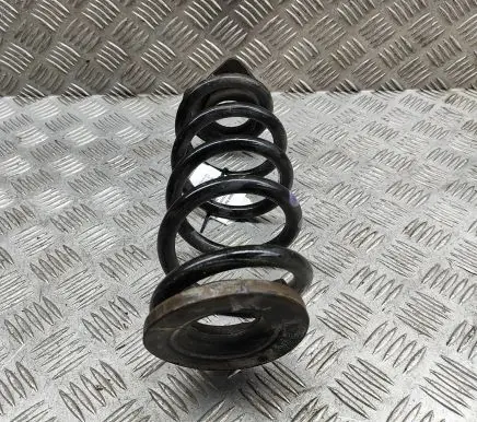 Honda Civic X Rear coil spring 52441TGHA01