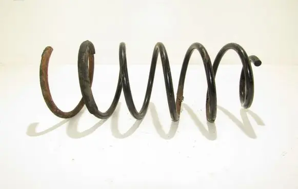Front coil spring