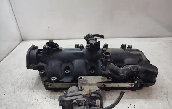 Fiat Freemont Intake manifold