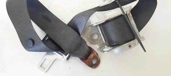 Dodge Magnum Rear seatbelt t19k509761l070