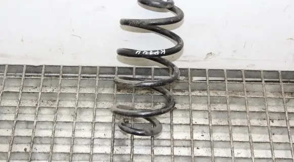 Nissan Juke I F15 Rear coil spring