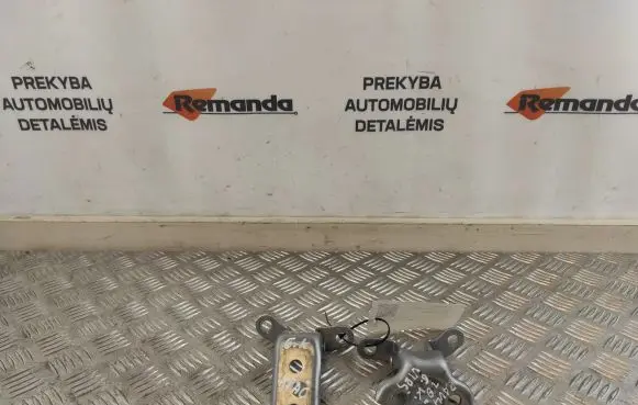 Rear door hinge set