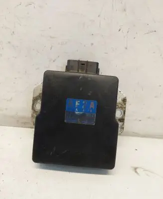 Mazda Premacy Fuel injection control unit/module 1310001021