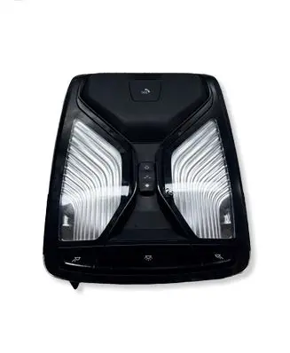 BMW X3 G01 Front seat light 7945142 28599328 2172301210