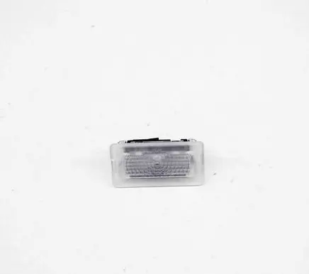 Tesla Model X Front seat light 100715170E