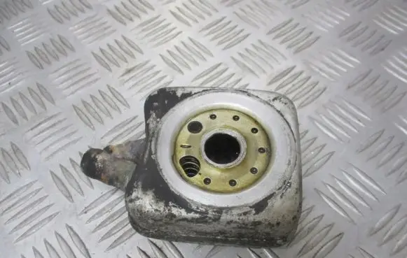 Skoda Octavia Mk1 (1U) Engine oil radiator 