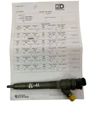 Renault Trafic III (X82) Fuel injector 0445110569