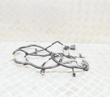 Tesla Model 3 Other wiring loom 206796801B