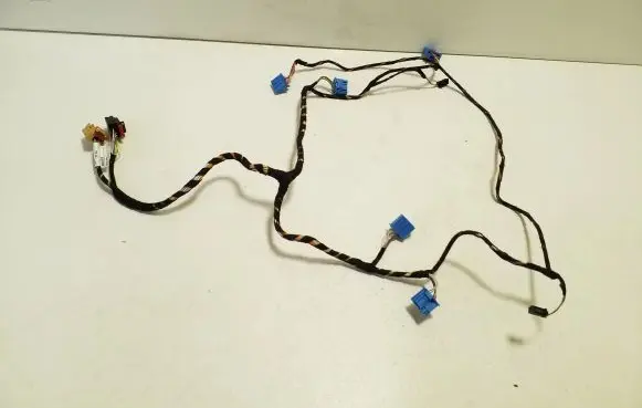 Other wiring loom