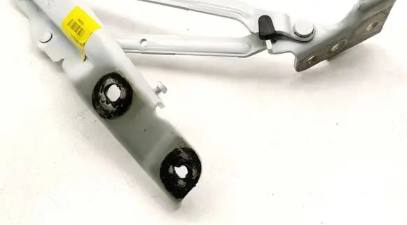 Tailgate/trunk/boot hinge