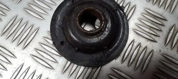 Coil spring mount