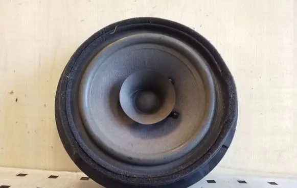 Front door speaker