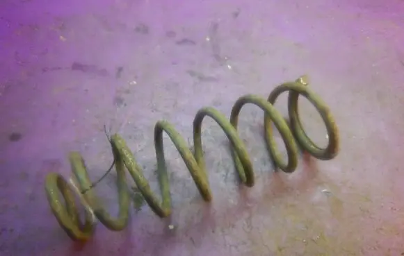 Peugeot 806 Rear coil spring