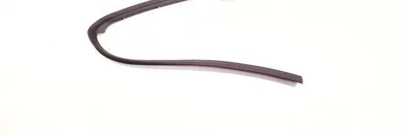 Ford Focus Rubber seal rear door 