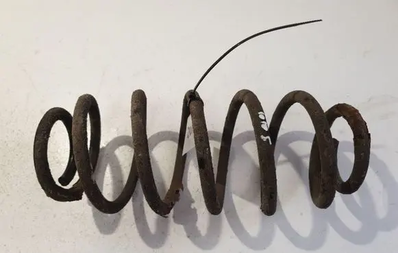 Rear coil spring