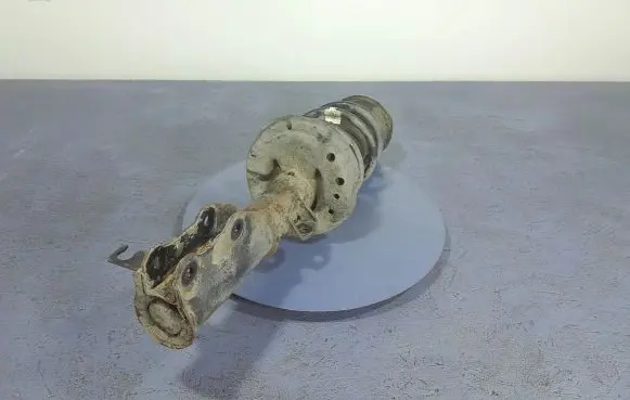 Opel Insignia A Front shock absorber/damper 13245972