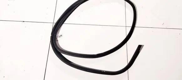 Ford Focus C-MAX Rubber seal front coupe door 