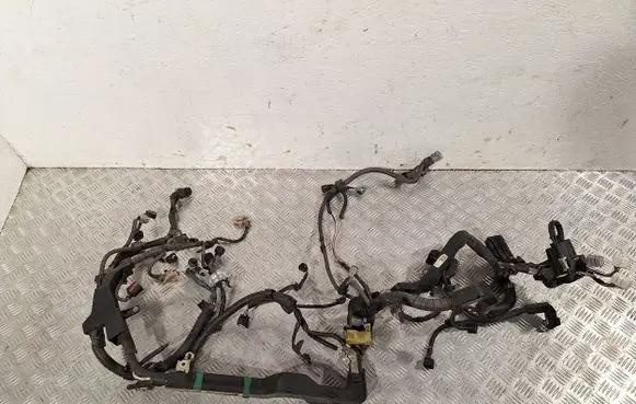 Engine installation wiring loom