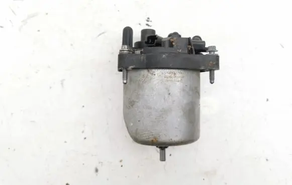 Citroen C4 II Picasso Fuel filter 9809757980