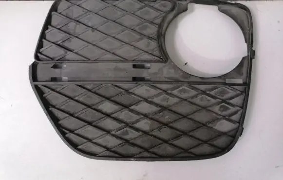BMW X6 E71 Front grill 7312605