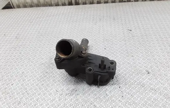 Thermostat/thermostat housing