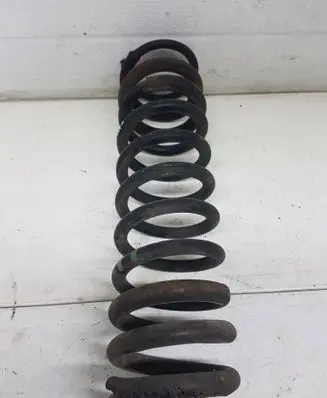 Rear coil spring