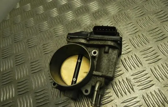 Throttle body valve