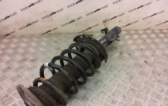 Land Rover Discovery 5 Front shock absorber/damper FK7218K001AC