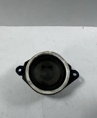 Panel speaker