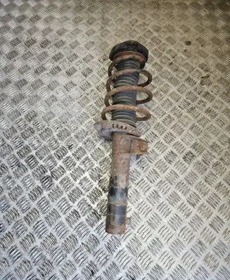 Skoda Octavia Mk2 (1Z) Front shock absorber/damper 1T0413031DN