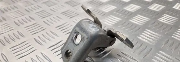 Renault Espace IV Front door lower hinge 