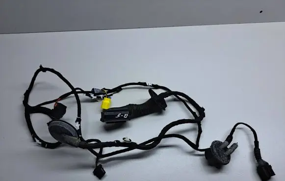 Front door wiring loom