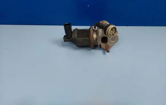 Skoda Fabia Mk1 (6Y) EGR valve 036131503T 036131818