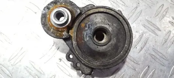 Peugeot 607 Generator/alternator belt tensioner