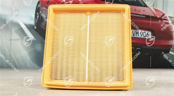 Porsche 911 Air filter 93011039300