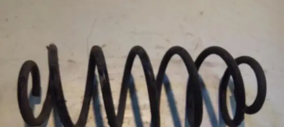 Toyota Prius (XW30) Rear coil spring