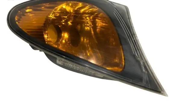 BMW 3 E46 Front indicator light 6910980