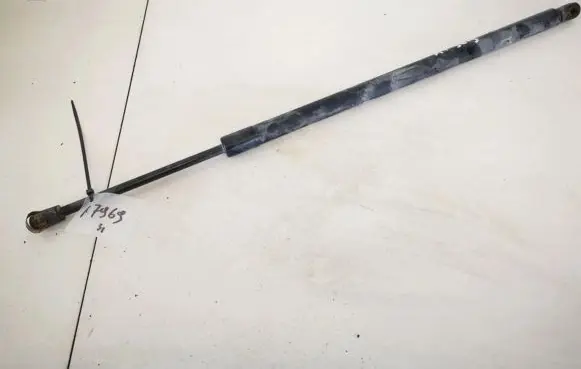 Chrysler Pacifica Tailgate/trunk strut/damper 05054247aa