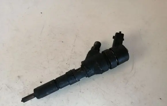 Citroen C5 Fuel injector 0445110008 9635196580