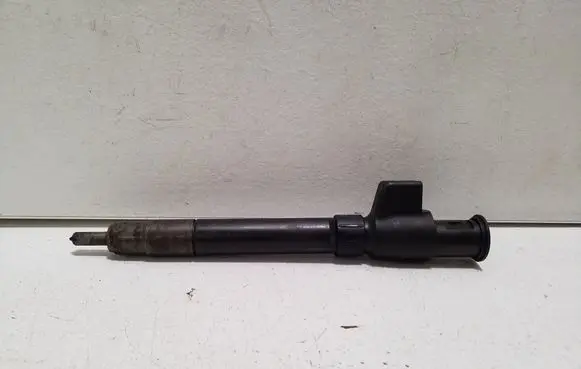 Ford Galaxy Fuel injector 9674984080 28388960