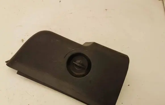 Rear/tail light trim molding